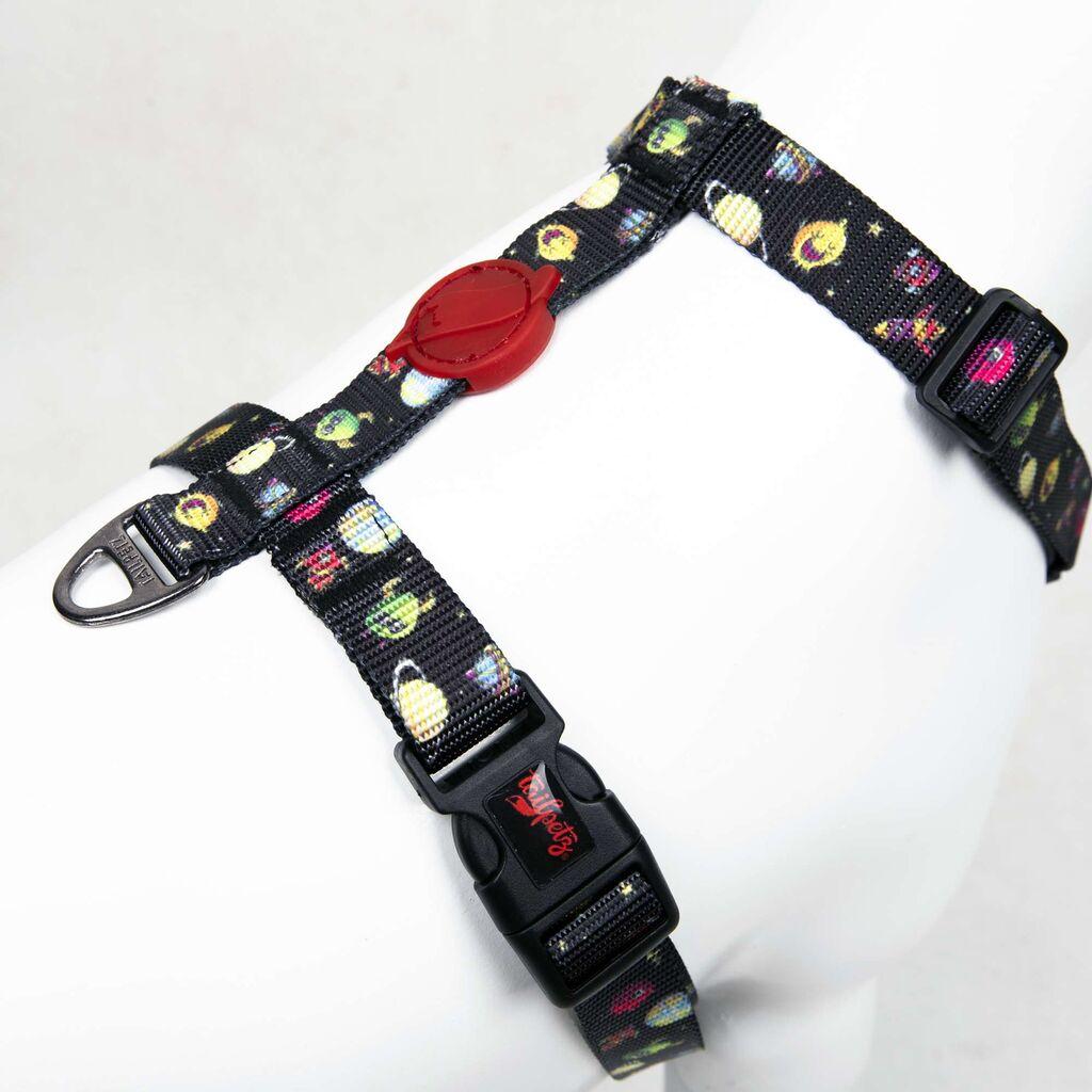 Paws & Whiskers Am za pse Space, Šareni