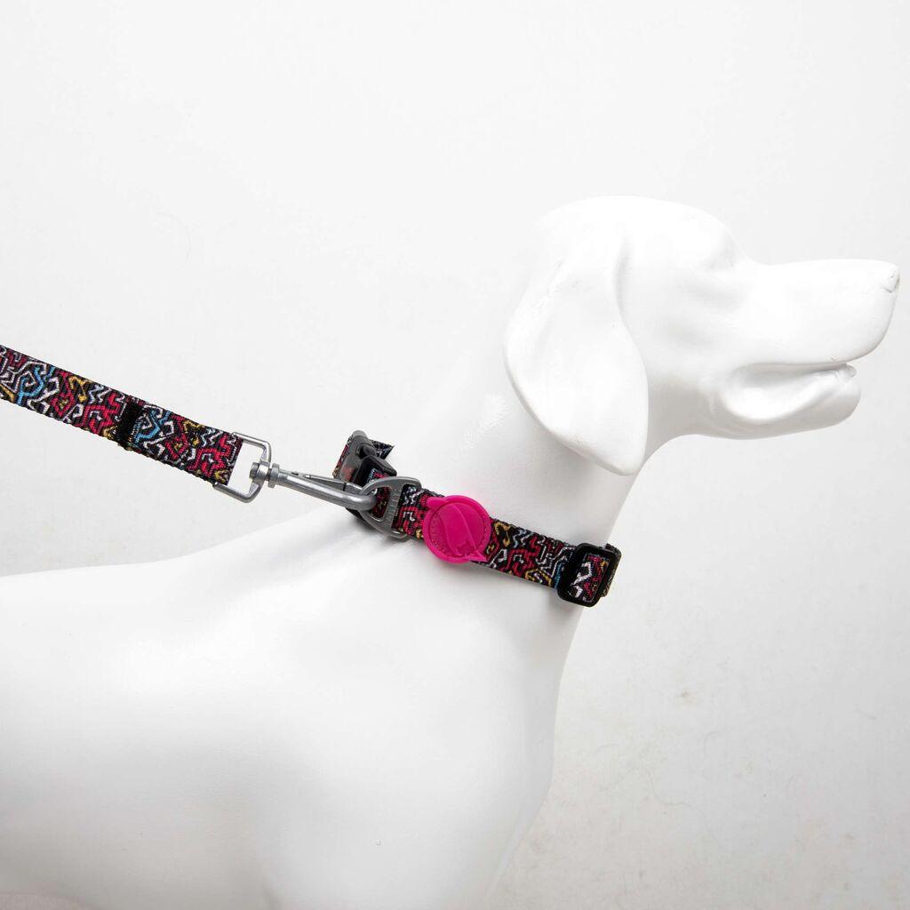 Paws & Whiskers Povodac za pse Graffiti Small, Šareni