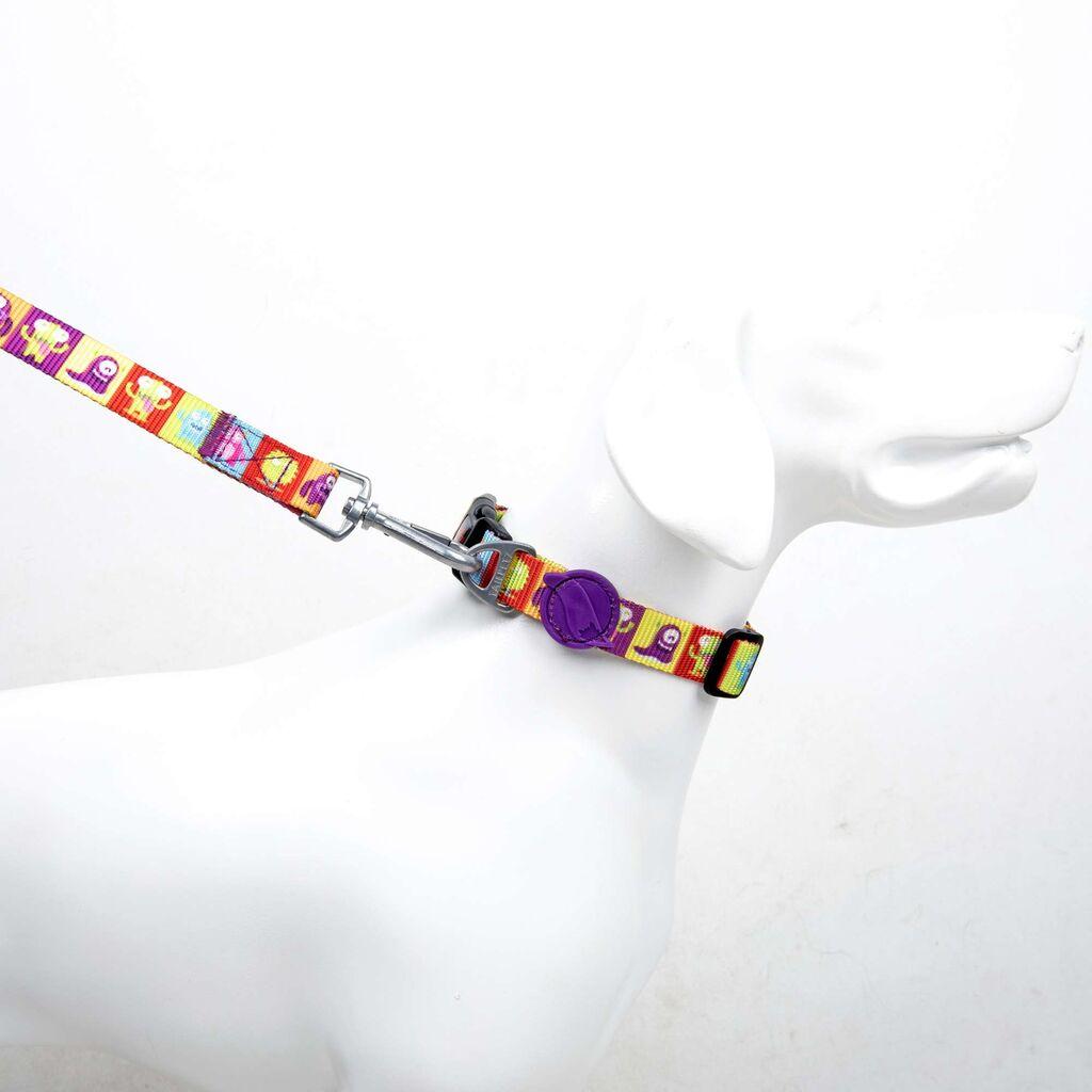 Paws & Whiskers Povodac za pse Alliens Small, Šareni