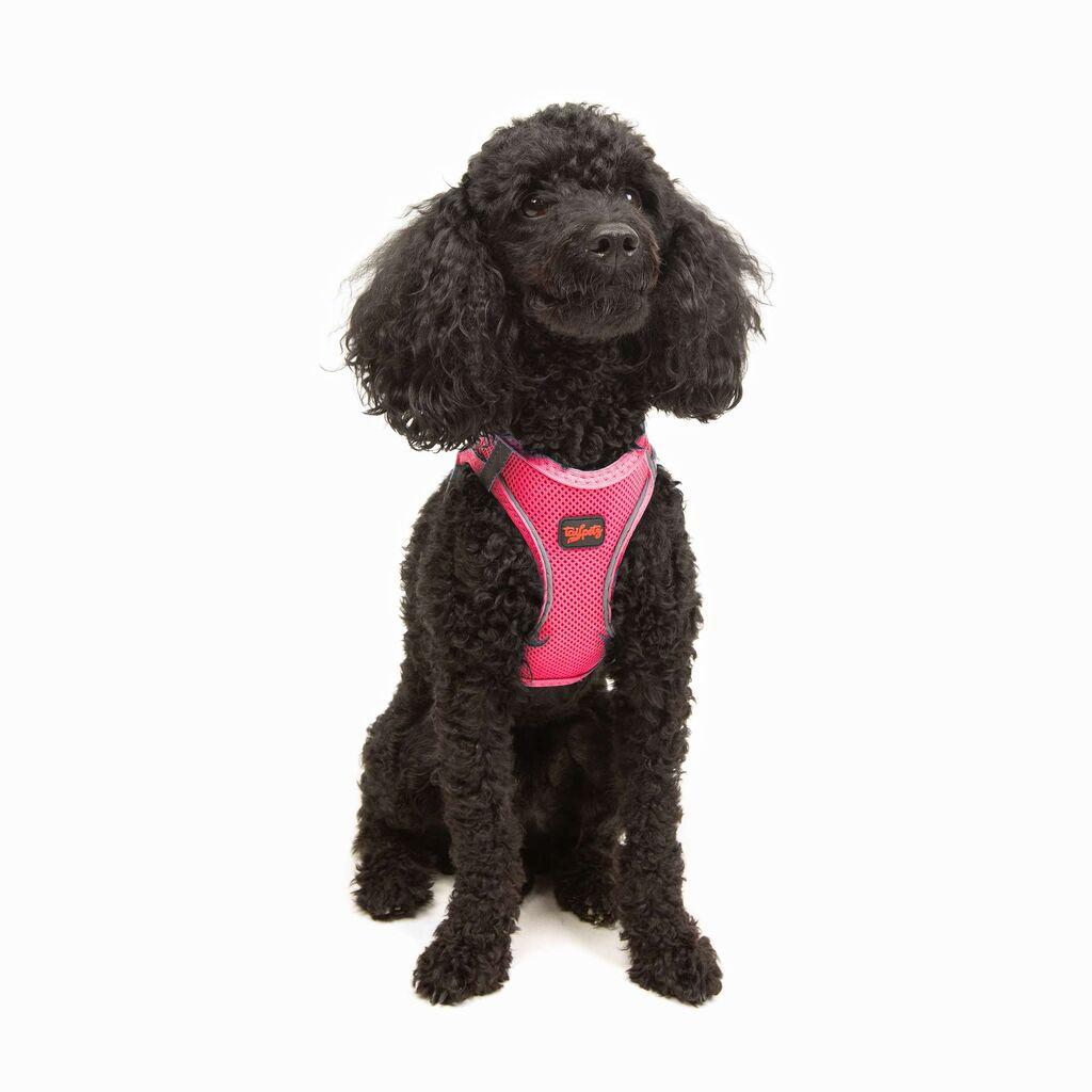 Paws & Whiskers Am za pse Air-Mesh, Roze