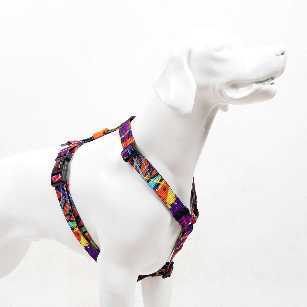 Paws & Whiskers Am za pse Splash, Šareni