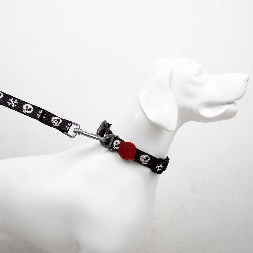 Paws & Whiskers Povodac za pse Boo Medium, Šareni