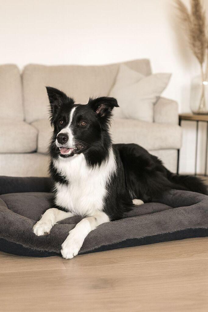 Paws & Whiskers Krevet za ljubimce Sally Dog, 95x115x12 cm, Antracit