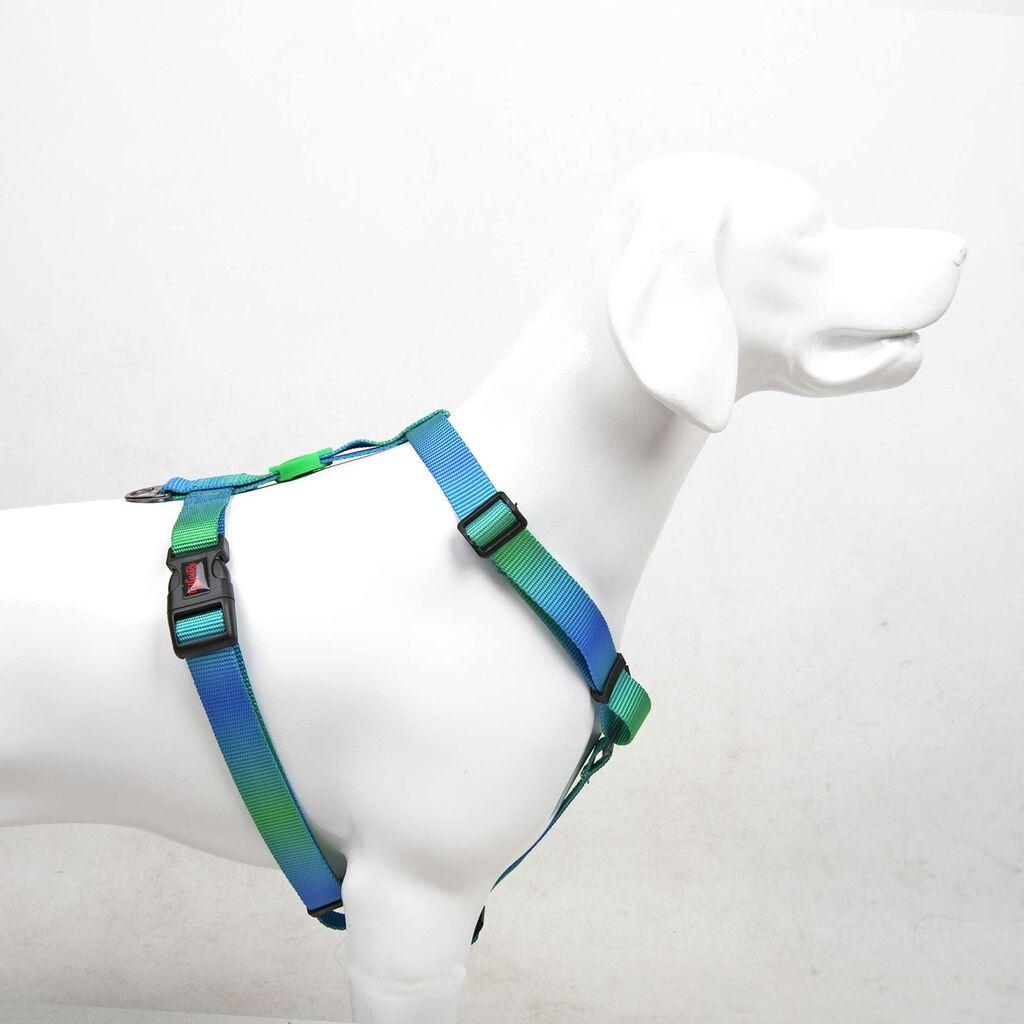 Paws & Whiskers Am za pse  Amazon, Šareni