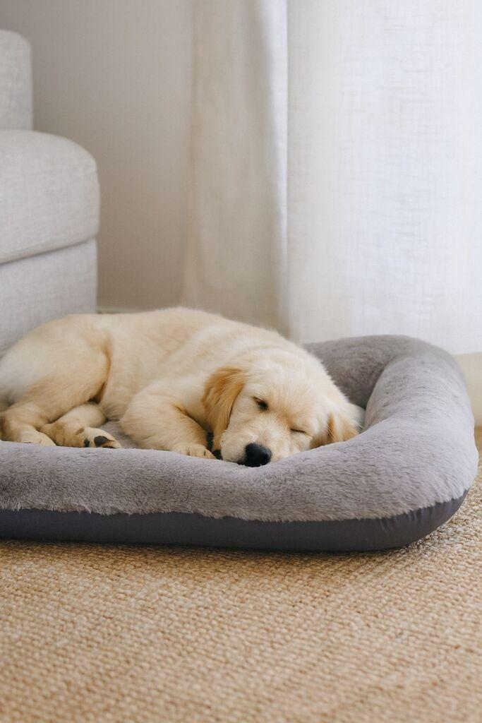 Paws & Whiskers Krevet za ljubimce Sally Dog, 75x95x10 cm, Sivi