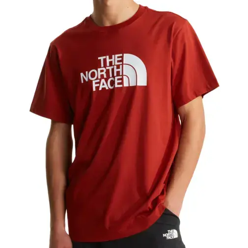 The North Face Muška majica M Evolution Half Dome Regular Short Sleeve Tee, Crvena
