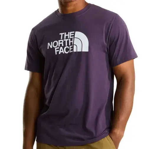 The North Face Muška majica M Evolution Half Dome Regular Short Sleeve Tee, Ljubičasta