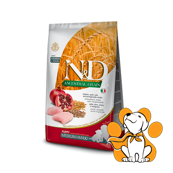 N&D Suva hrana za štence Ancestral Grain Medium/Maxi Piletina, spelta, ovas i nar 12kg