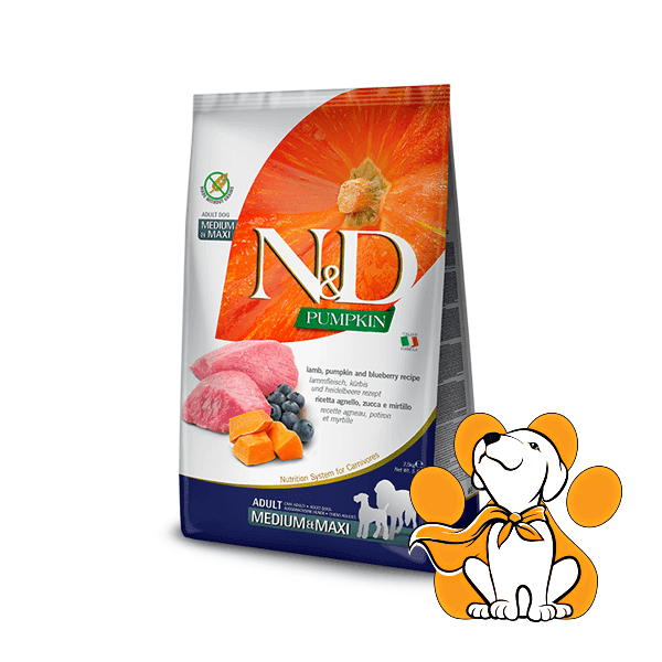 N&D Suva hrana za pse Pumpkin Medium/Maxi Jagnjetina, Bundeva i Borovnica 2,5kg