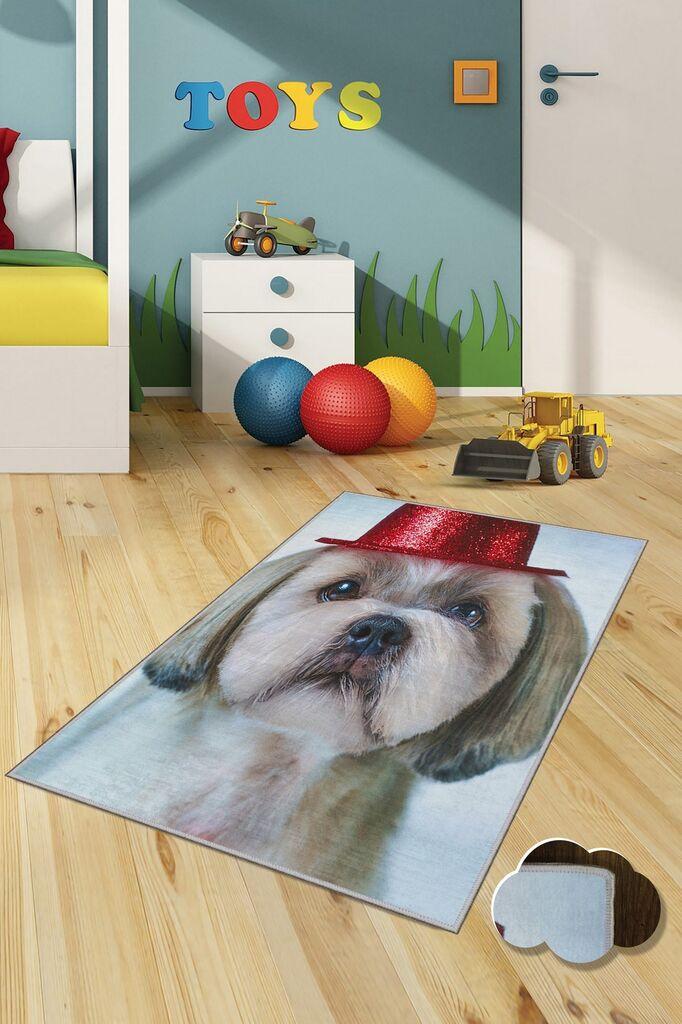 Conceptum Hypnose Tepih, 80x120cm, Šareni