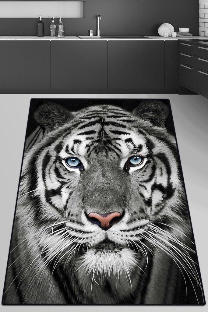 Conceptum Hypnose Tepih, 150x240cm, Šareni