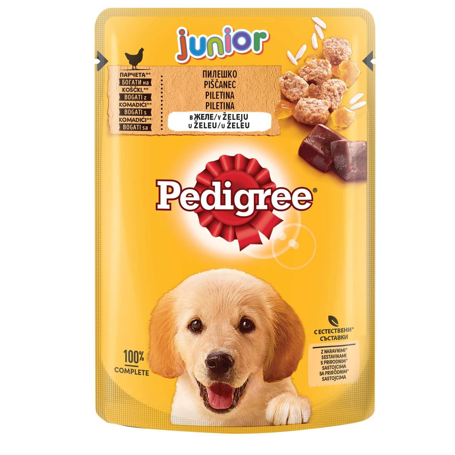 Selected image for PEDIGREE Vlažna hrana za pse Junior piletina 100g