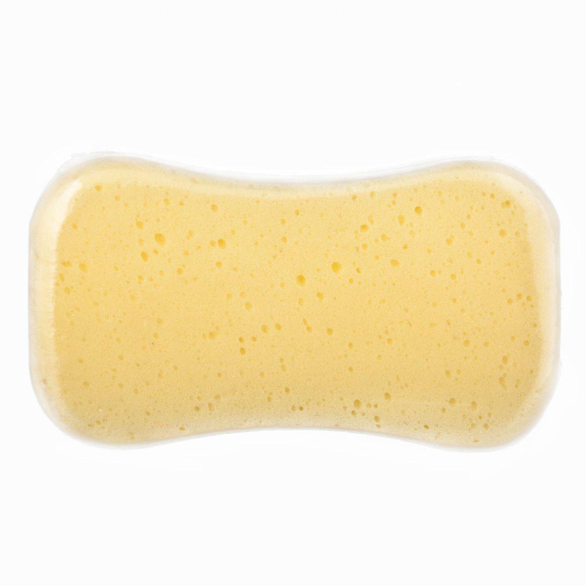 Storm Sunđer za pranje sa krupnim porama, 220x120x60mm