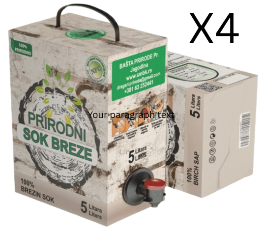Bašta prirode Prirodni brezin sok, 4 x 5l