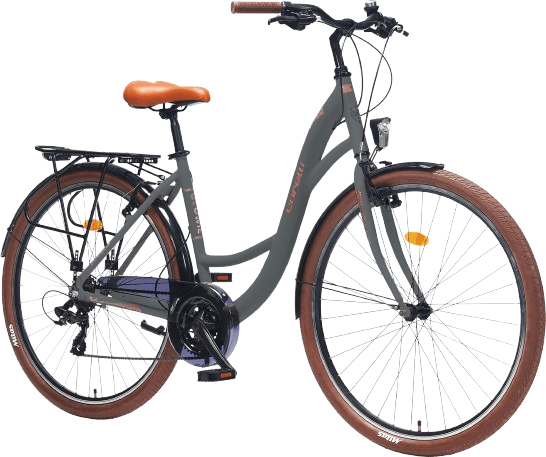 Corelli Ženski bicikl Glowie, 48cm, 28", Sivi