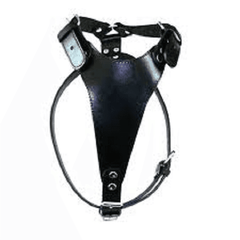 Iguana Am za pse od kože L-30mm