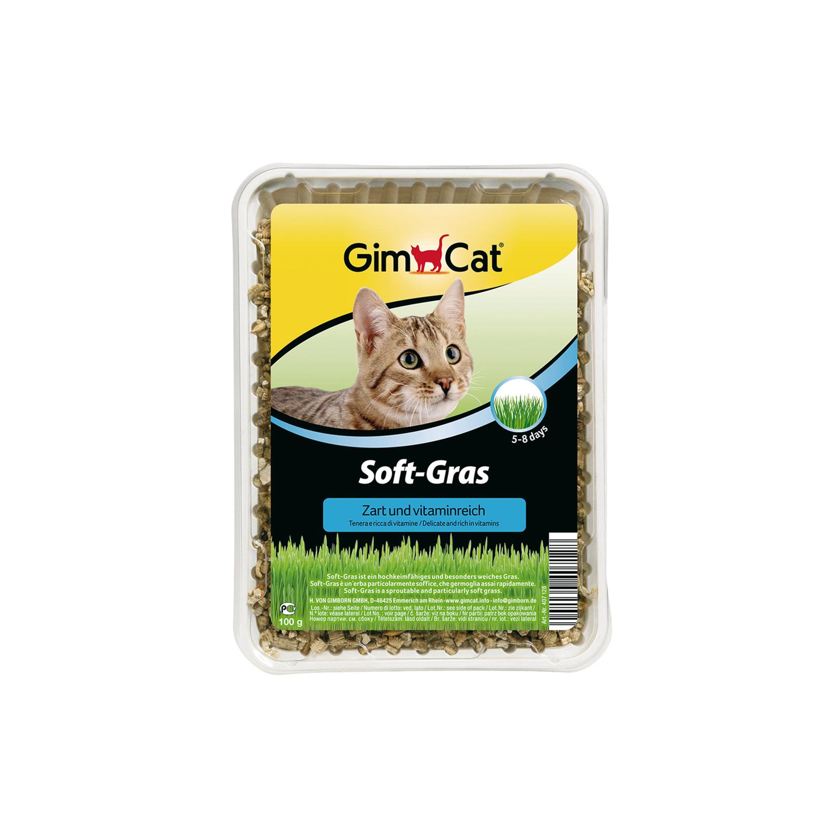 GIMCAT Trava za mace Soft-Gras 100g
