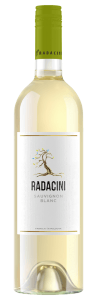 Selected image for RADACINI Chardonnay belo vino 0.75l