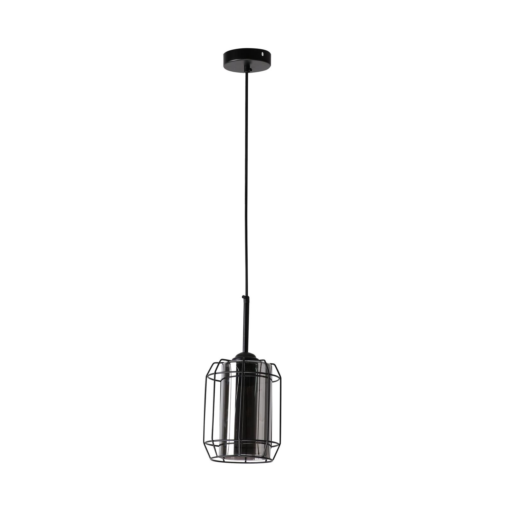 Viseća lampa Jonera, E27, 1x40W, Crna