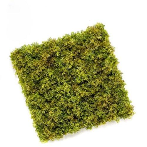 Dekorativni Zeleni zid od mahovine, 25x25cm