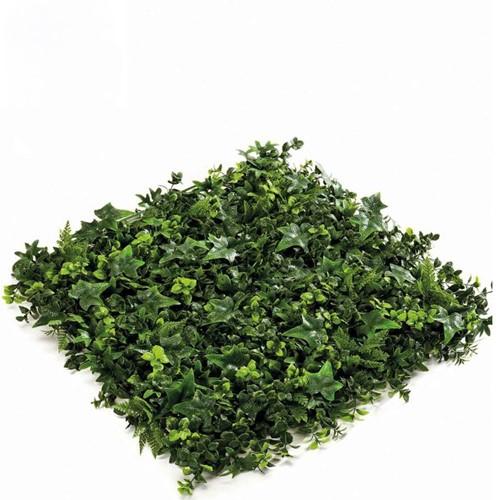 EMERALD Zidna dekoracija Zeleni zid Bršljen mix, 50x50cm