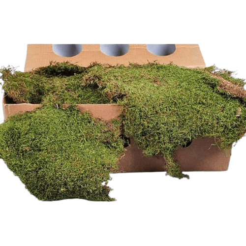 Dekorativna prirodna ravna mahovina 2kg