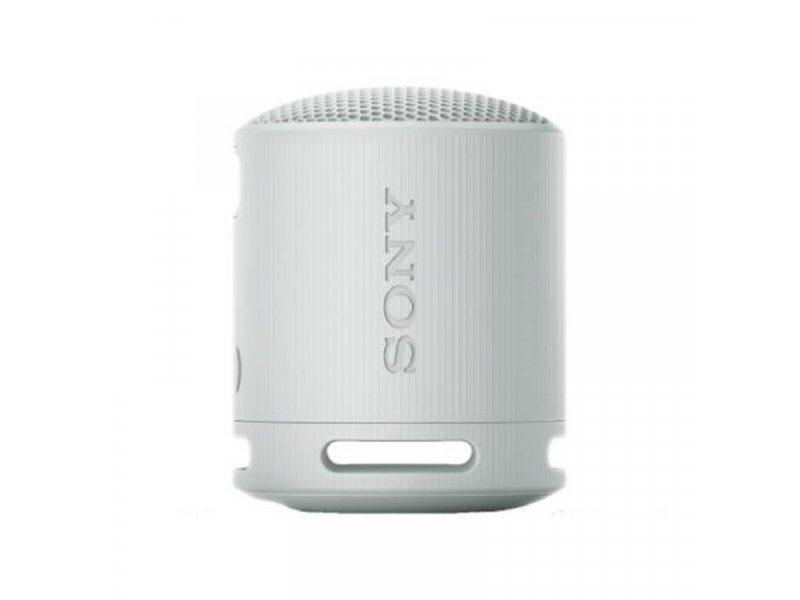 Selected image for SONY SRS-XB100 Bluetooth zvučnik, Sivi
