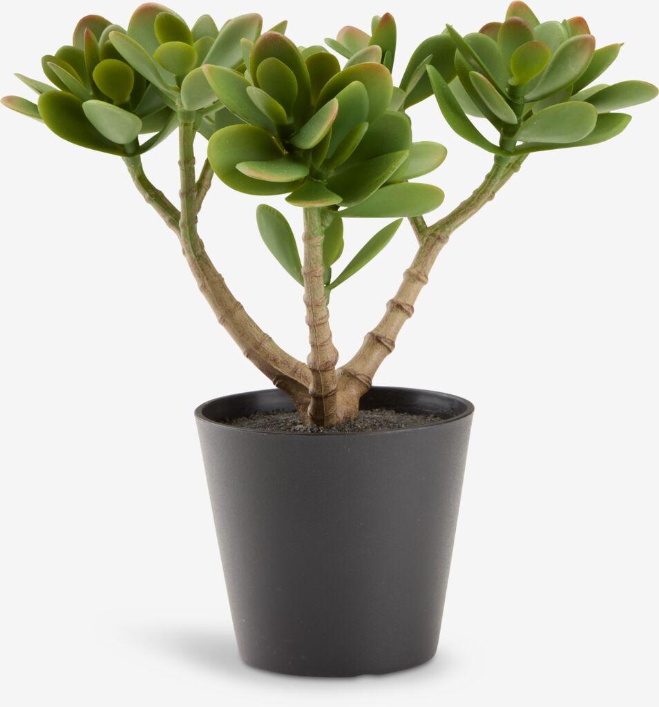 Veštačka biljka Aurora, V23 cm, zelena