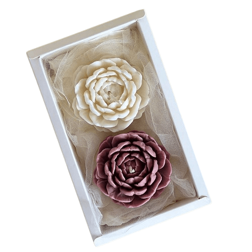 Marfeja Gift Shop Poklon Set dva božura, Belo-Rozi