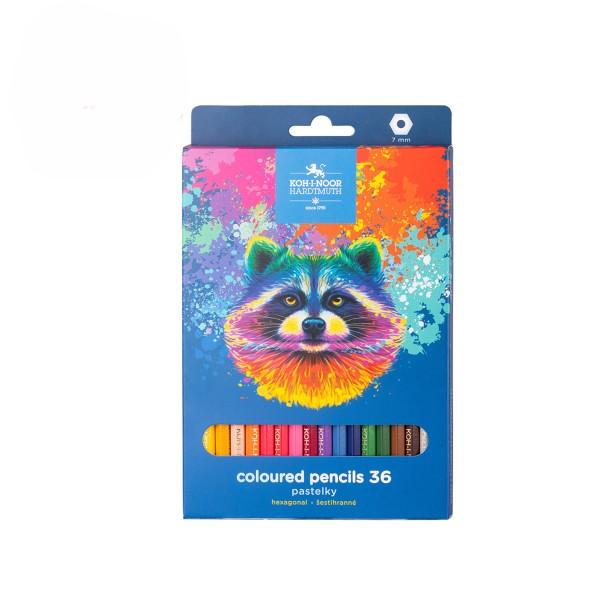 Koh-I-Noor Set drvenih bojica Racoon 3555, 36 komada