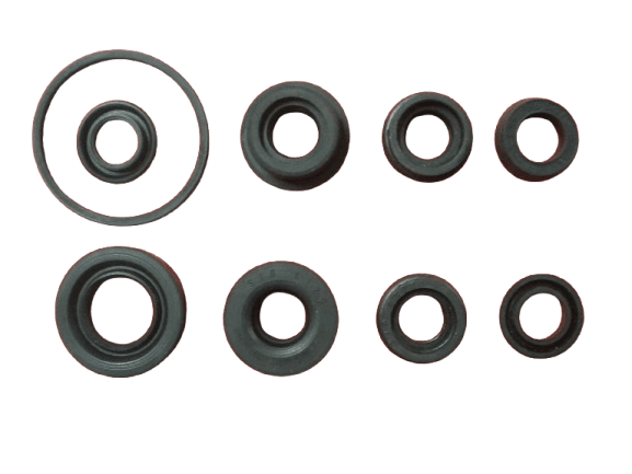 Sigurno-st Set gumica za glavni kočioni cilindar za Citroen, Peugeot, Renault, Seat, Talbot, VW, Volvo, fi 20,6
