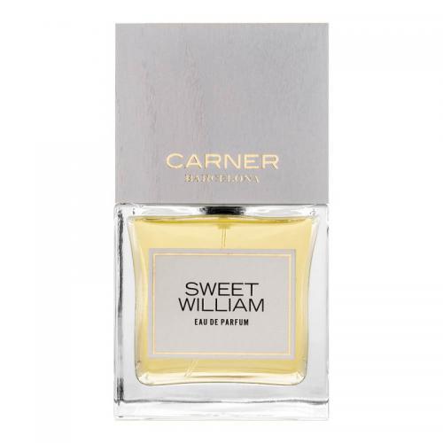 CARNER Unisex parfem BARCELONA SWEET WILLIAM EDP 100ml