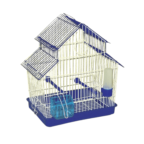 Karlos Kavez za ptice Mala Dvokrovna, Plavi