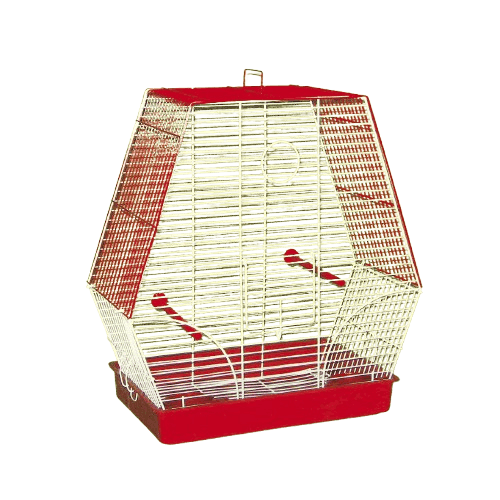 Karlos Kavez za ptice, Trapezasti, Crveni