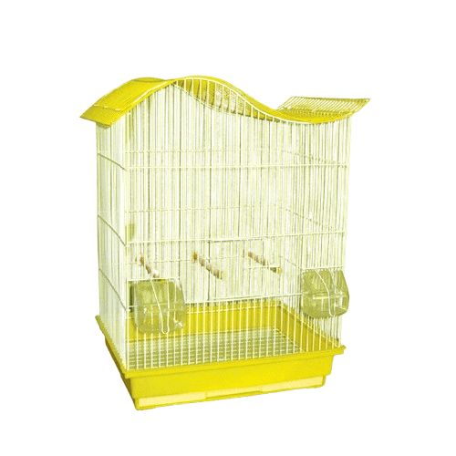 Karlos Kavez za ptice Veliki Talas, Žuti