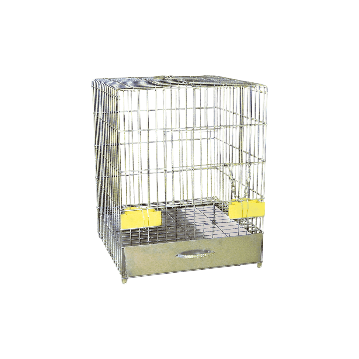 Karlos Kavez za ptice Limeni Žako, Srebrni