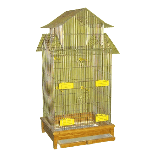 Karlos Kavez za ptice Najveći Toranj, Srebrni