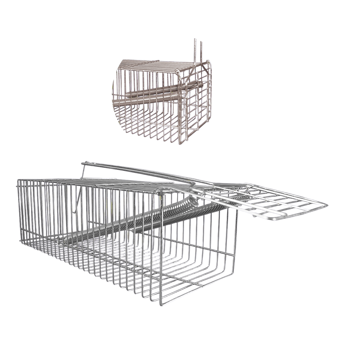 Karlos Pacolovka, Siva