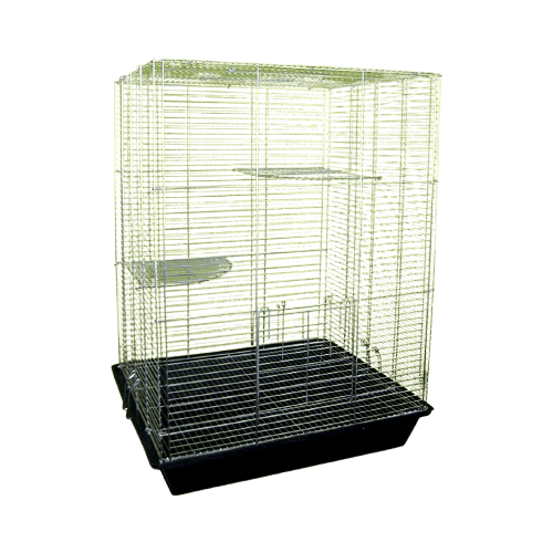 Karlos Kavez za glodare Degu, Crni