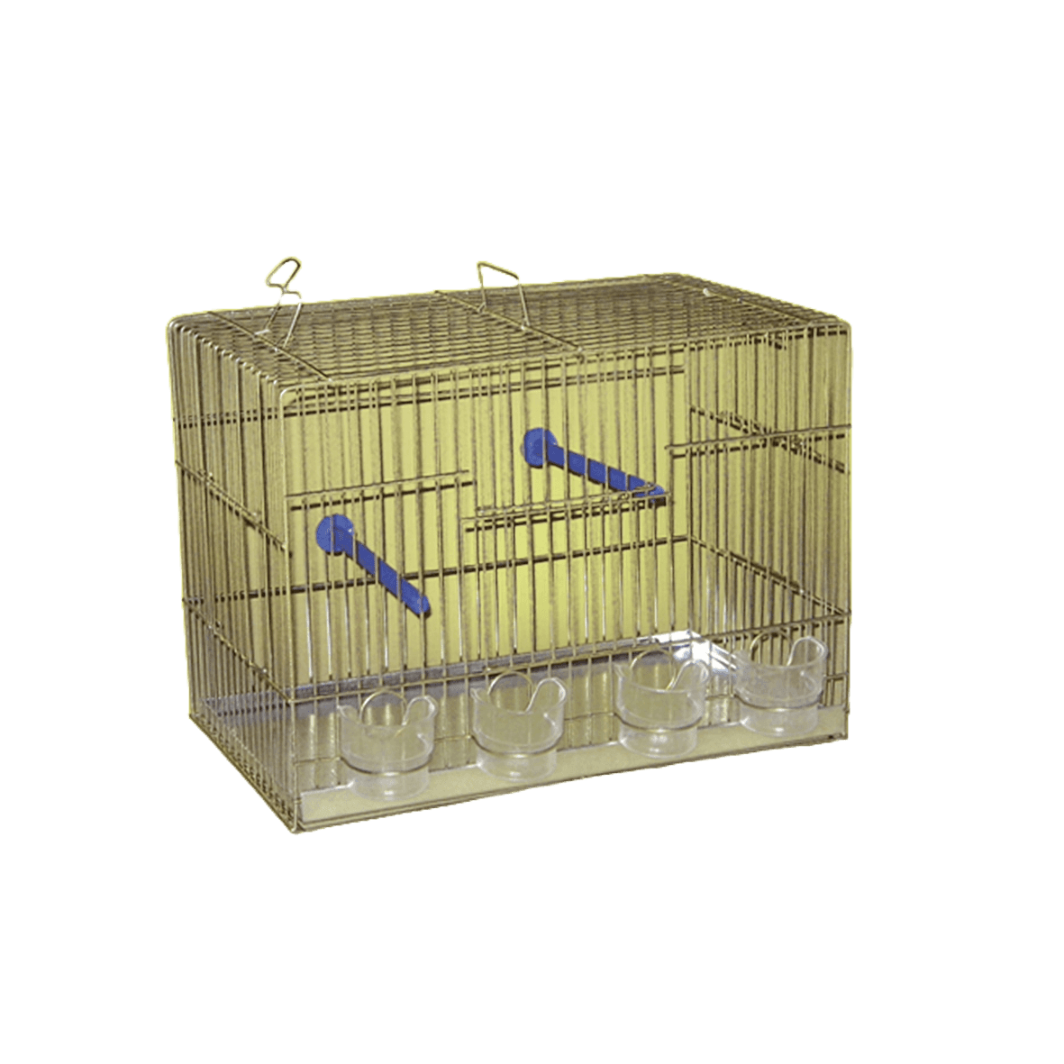 Karlos Kavez za kanarince sa 4 rupe, Srebrni