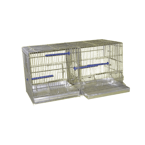 Karlos Kavez za kanarince sa pregradom Mali, Srebrne boje