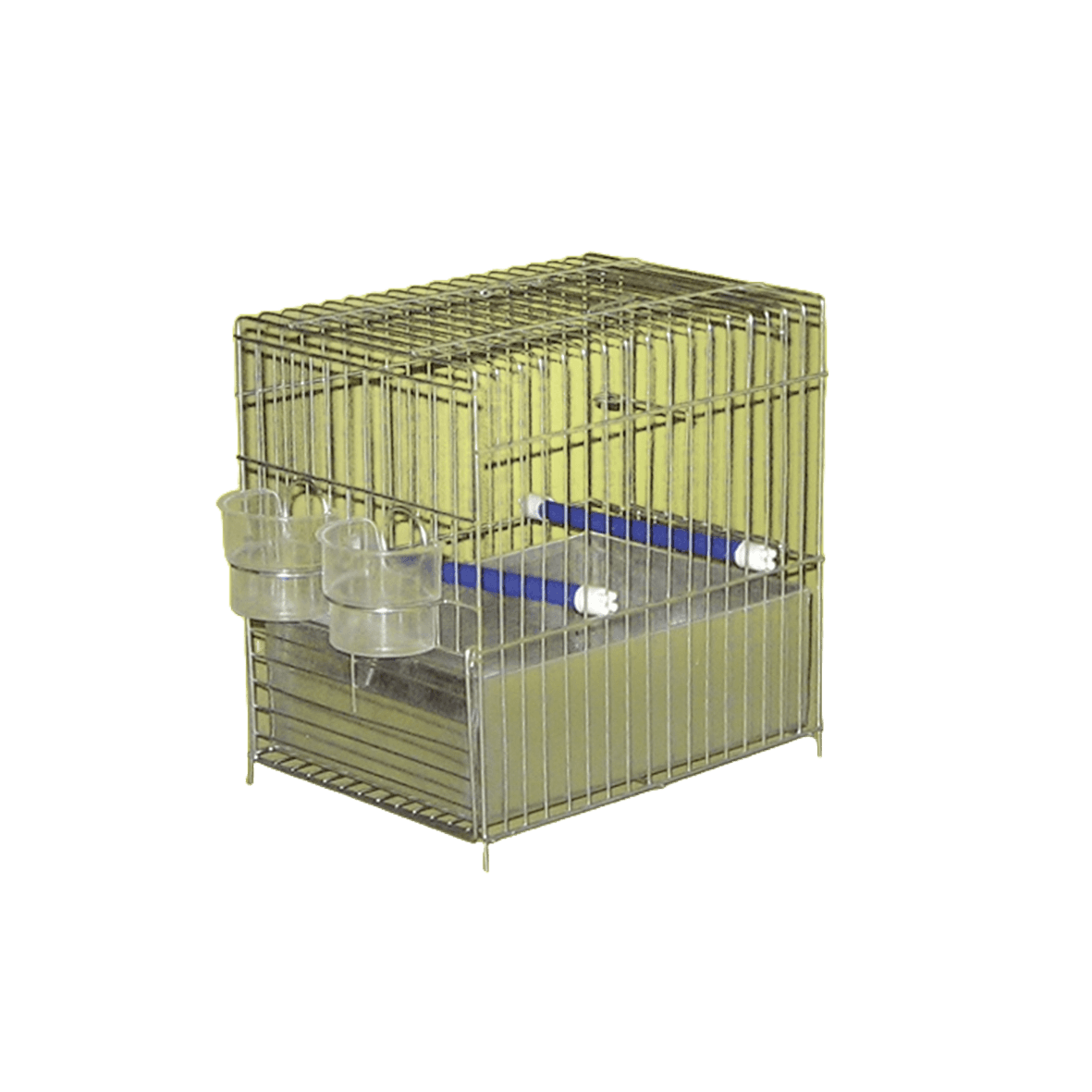 Karlos Kavez za kanarince sa 2 rupe, Srebrne boje