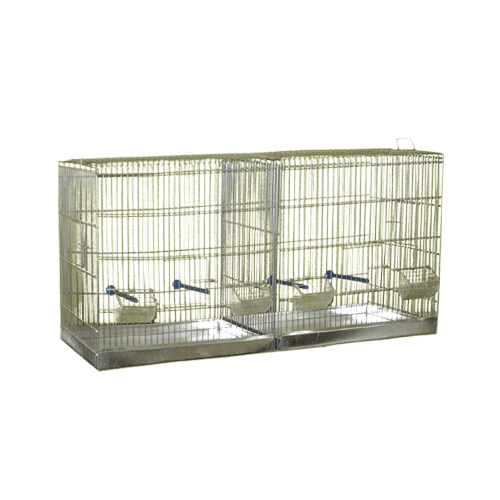 Karlos Letelica za ptice sa pregradom, Srebrne boje