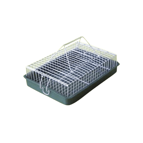 Karlos Transporter za ptice, Mali, Zeleni