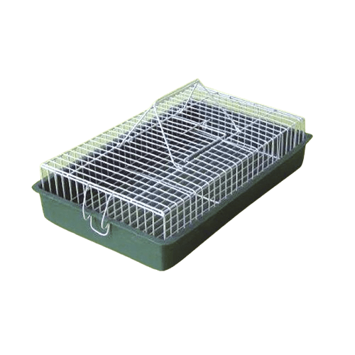 Karlos Transporter za ptice, Srednji, Zeleni