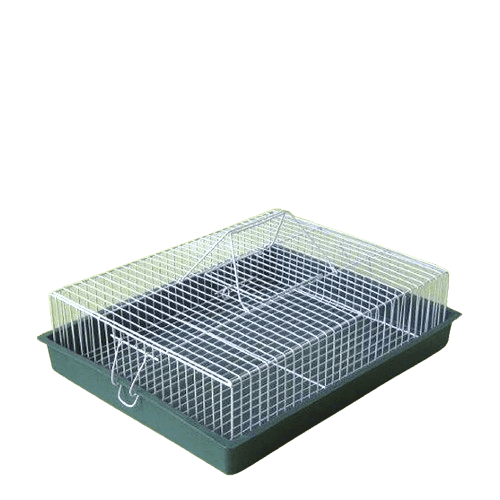 Karlos Transporter za ptice Veliki, Zeleni