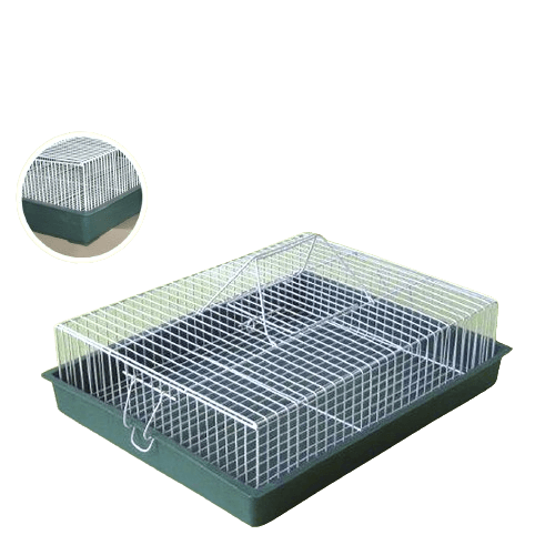 Karlos Transporter za ptice Veliki uža žica, Zeleni