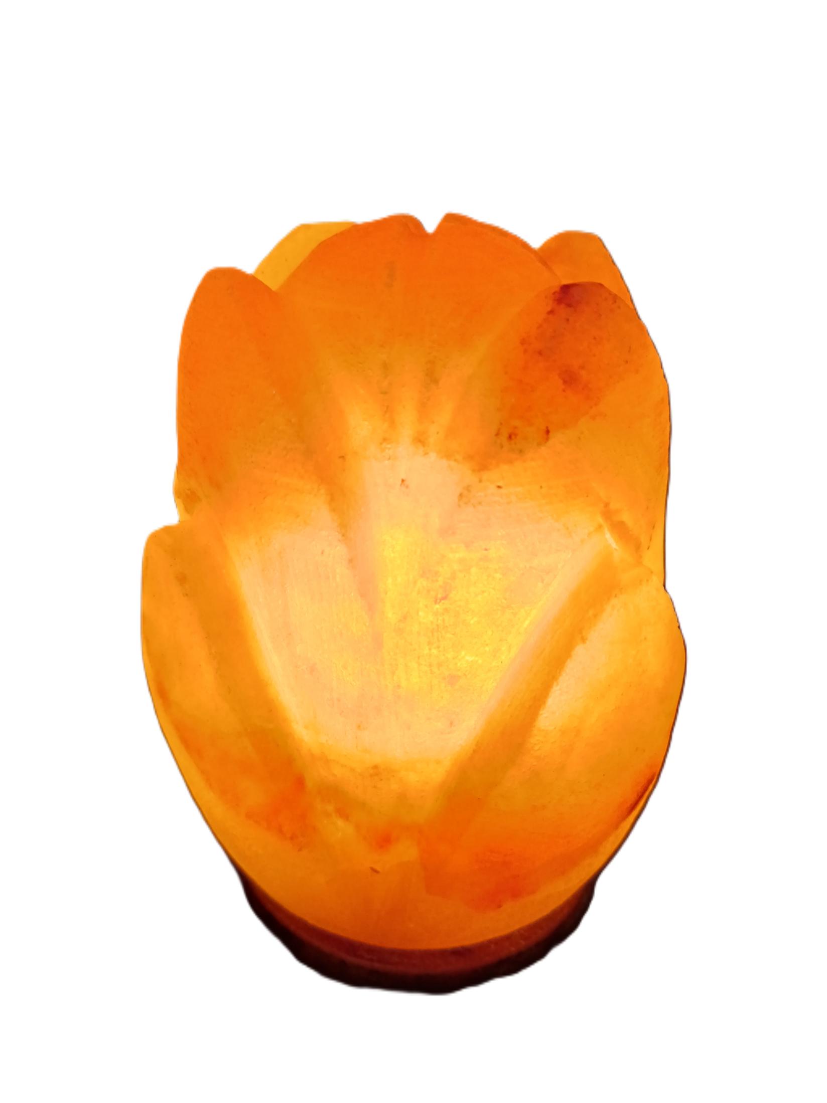 Fantastico Stona kristalna lampa Lotus