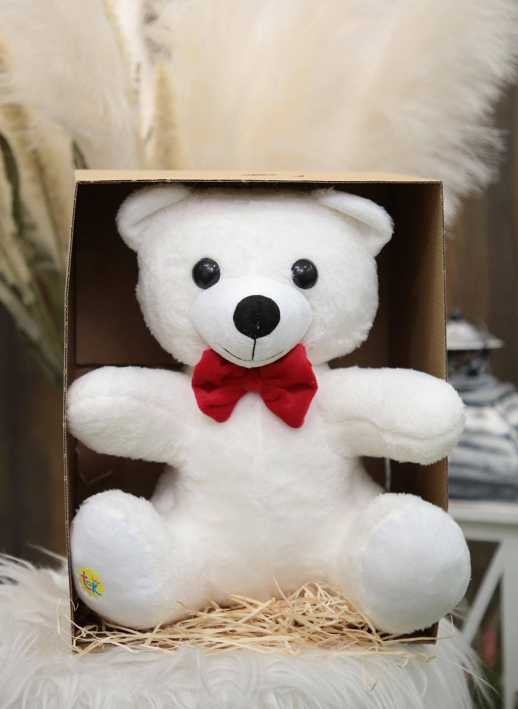 TOYS KINGDOM Igračka meda sa klasičnom muzikom i crvenom mašnicom