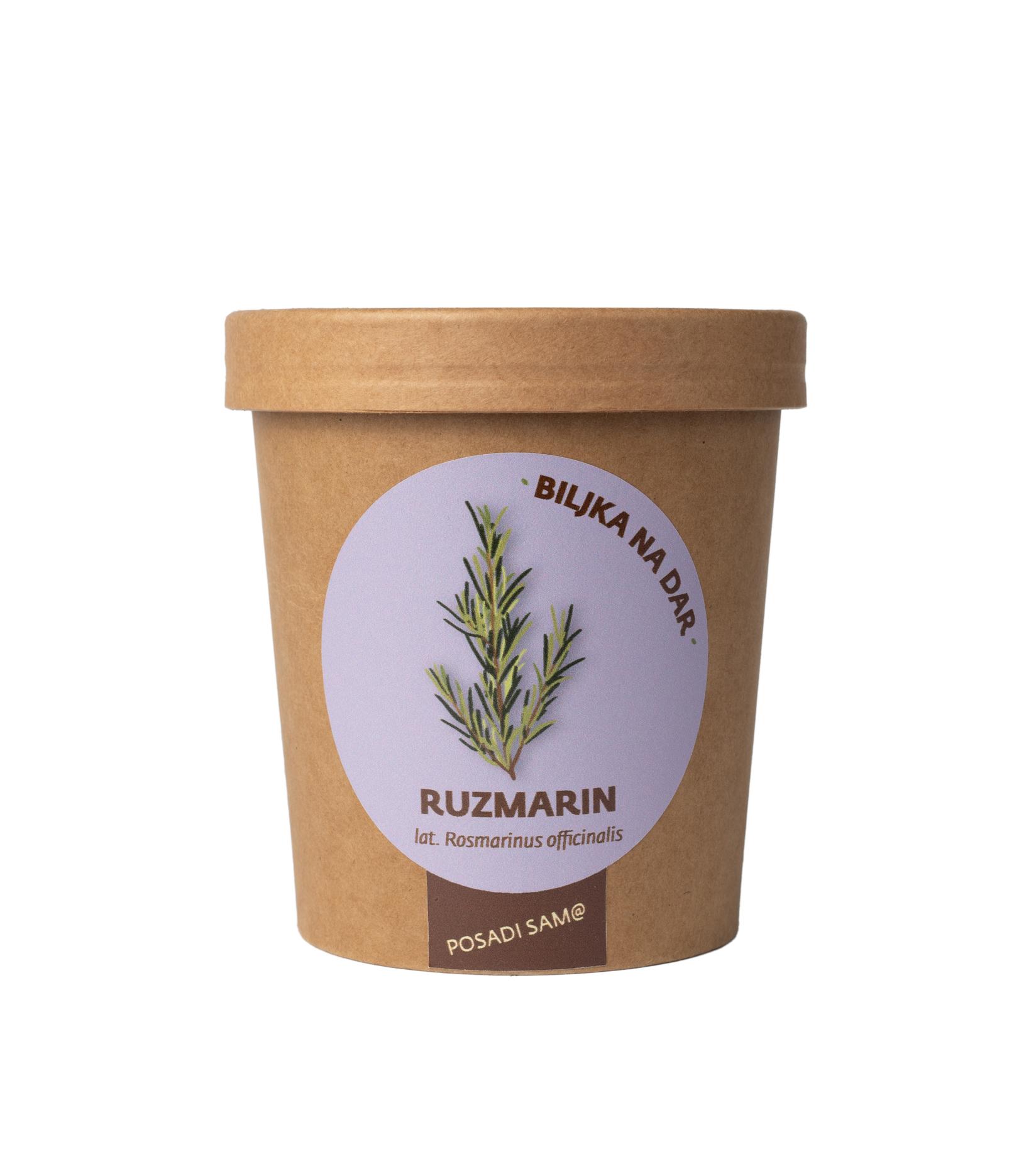 URBANA BAŠTA Biljka na dar Ruzmarin